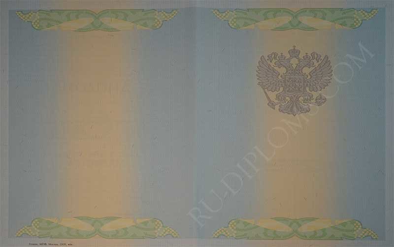 Диплом магистра 2004-2009 год 